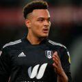  L'attaquant de Fulham, Rodrigo Muniz, a échappé à une blessure accidentelle sur le terrain d'entraînement du club