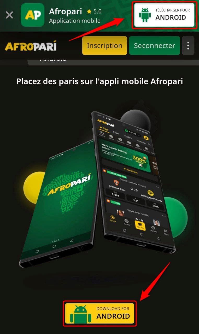 L'application mobile Afropari