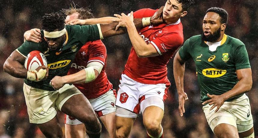 "Springboks" kick off the new season. What do we know?
