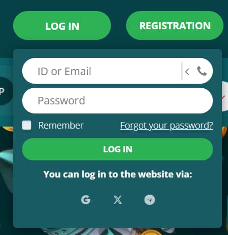 Input your phone number or email/ID