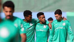 Palmeiras vs Atletico MG pronostic