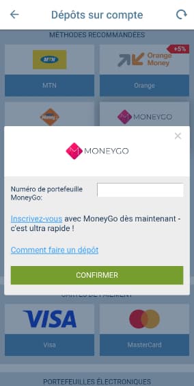 Remplissez les détails (coordonnées bancaires, montant, etc.)