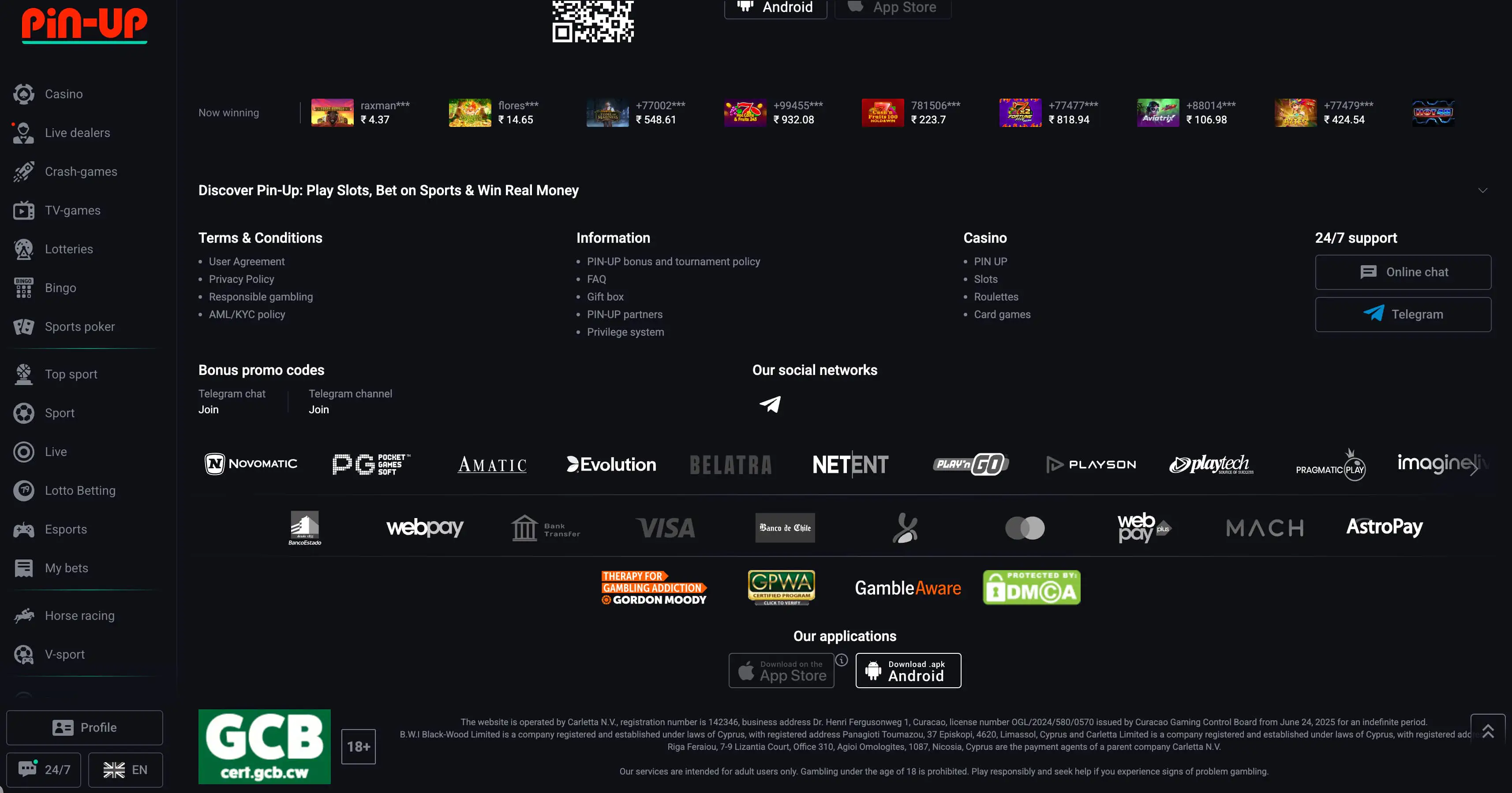 Payment Methods at Pin-Up