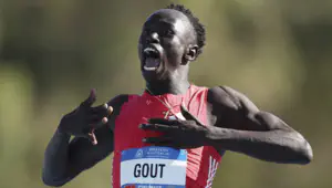 Gout Gout