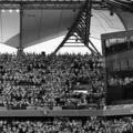 Horror. A tragedy struck in the stands during the Polish league match