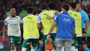 Palmeiras vs Chapecoense AF prediction