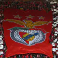 Mourinho replaced. Official: Benfica appoints new head coach