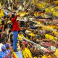 DR Congo 2026 World cup