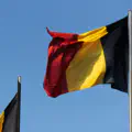 Here we go! Belgium national team appoints new head coach
