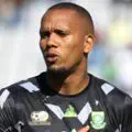 Miguel Cardoso is happy to have Ricardo Goss at Mamelodi Sundowns given the goalkeeper's talent