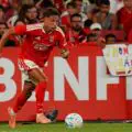 Clause de 50 millions ! Newcastle connaît le prix de Dedic et prépare un coup malin