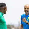 Miguel Cardoso defends Mamelodi Sundowns' strategy in the transfer business