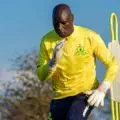 Mamelodi Sundowns legends discuss the team's display in the PSL match against Kaizer Chiefs 