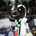 Sonnenhof Grossaspach vs Arminia Bielefeld prediction