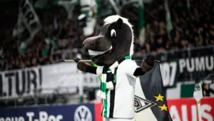 TSV Schott Mainz vs M'Gladbach pronostic