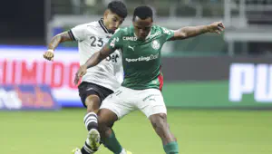Botafogo RJ vs Palmeiras pronostic