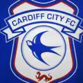 Scandale à Fratton Park ! Un joueur de Cardiff s'en prend à un jeune fan, la police enquête