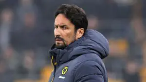 Wolverhampton vs Watford pronostic
