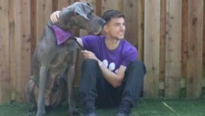 Zinchenko's competitor at Arsenal may move to Real Sociedad